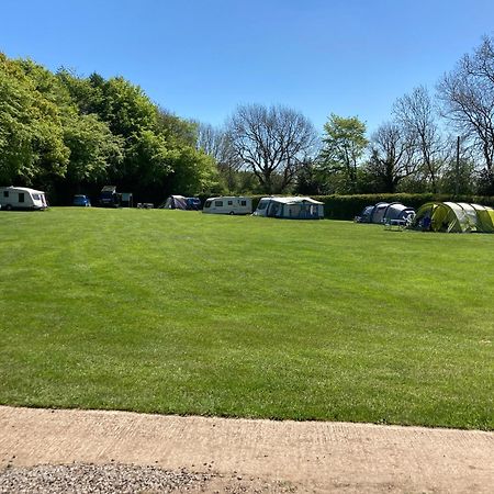 Hotel Bank Top Camping-North York Moors With Pitches For Caravans, Camper Vans And Tents Pickering Esterno foto