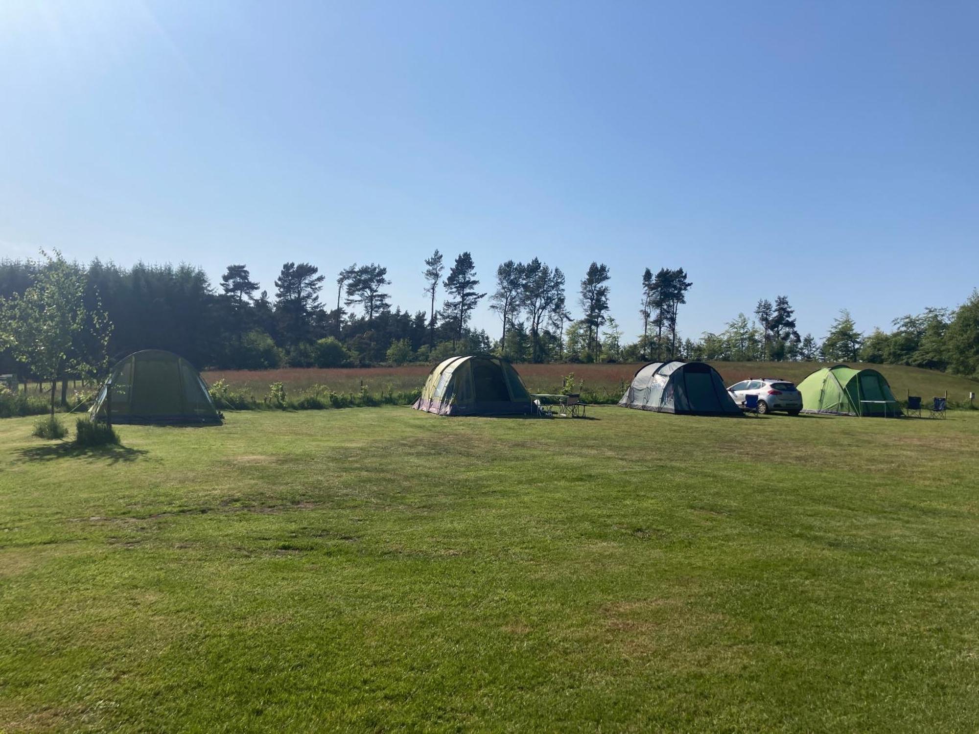 Hotel Bank Top Camping-North York Moors With Pitches For Caravans, Camper Vans And Tents Pickering Esterno foto